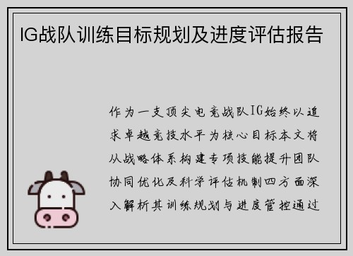 IG战队训练目标规划及进度评估报告