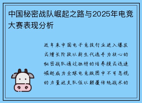中国秘密战队崛起之路与2025年电竞大赛表现分析